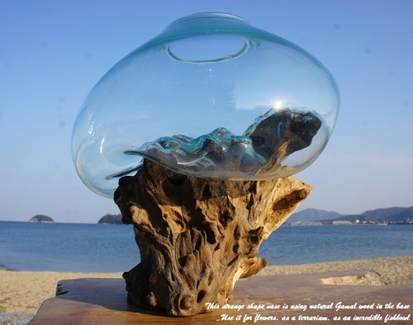 吹きガラスと天然木のオブジェL 金魚鉢 メダカ 水槽 アクアリウム テラリウム コケリウム 花瓶 流木ガラス ブルー硝子 1枚目の画像