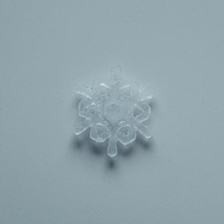 雪、ついてるよ no.14　雪の結晶　ピンブローチ　樹枝結晶《2月末まで》 2枚目の画像
