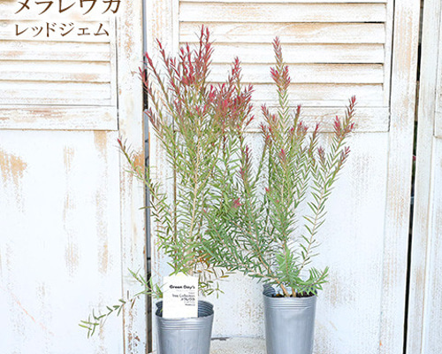 3cf26f9d0ebd5d8f0c8dfe600a6a5f