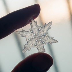 雪、ついてるよ no.15　雪の結晶　ピンブローチ　樹枝結晶《2月末まで》 3枚目の画像