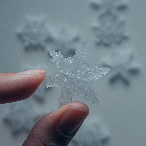 雪、ついてるよ no.15　雪の結晶　ピンブローチ　樹枝結晶《2月末まで》 5枚目の画像