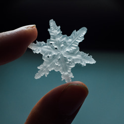 雪、ついてるよ no.15　雪の結晶　ピンブローチ　樹枝結晶《2月末まで》 1枚目の画像