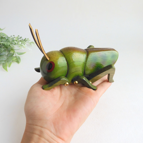 トノサマバッタ (★台付き)  wood grasshopper / insect 5枚目の画像