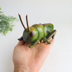 トノサマバッタ (★台付き)  wood grasshopper / insect 6枚目の画像