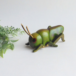 トノサマバッタ (★台付き)  wood grasshopper / insect 1枚目の画像