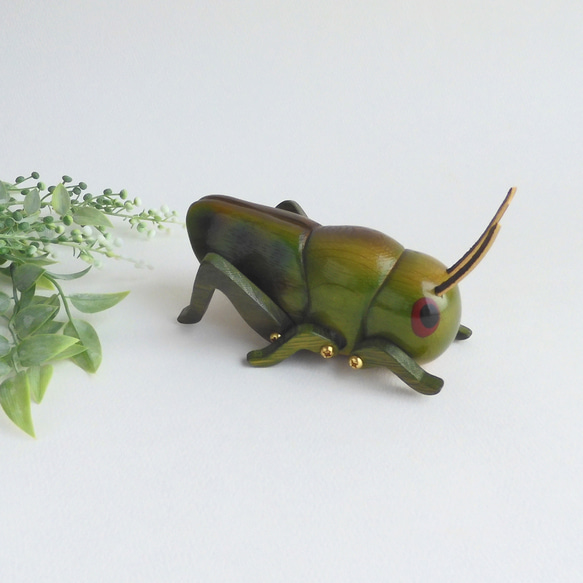 トノサマバッタ (★台付き)  wood grasshopper / insect 3枚目の画像