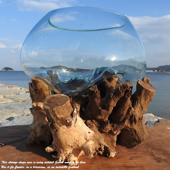 吹きガラスと天然木のオブジェXL 金魚鉢 メダカ 水槽 アクアリウム テラリウム コケリウム 花瓶 流木ガラス ブルー 7枚目の画像