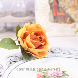 a42a8e585264c429f4cf56589b3617