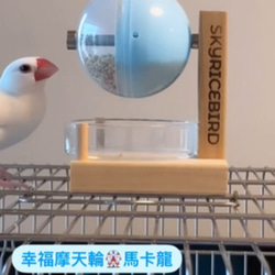 卓上ハッピー観覧車（マカロンバージョン） 鳥フクロネズミ 採餌おもちゃ 鳥 ペットおもちゃ 2枚目の画像