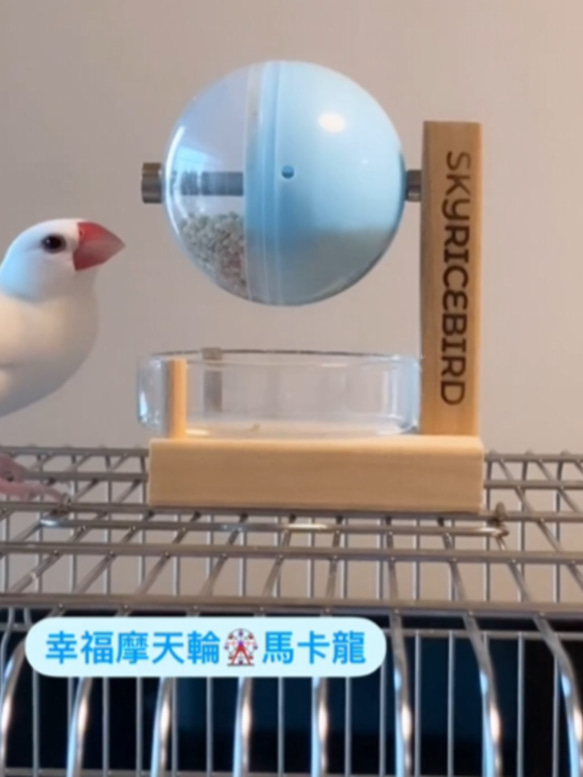 卓上ハッピー観覧車（マカロンバージョン） 鳥フクロネズミ 採餌おもちゃ 鳥 ペットおもちゃ 2枚目の画像