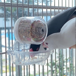 ハッピー観覧車 (吊り鳥かごバージョン) - 鳥ムンニア 採餌おもちゃ 鳥 ペット おもちゃ 3枚目の画像