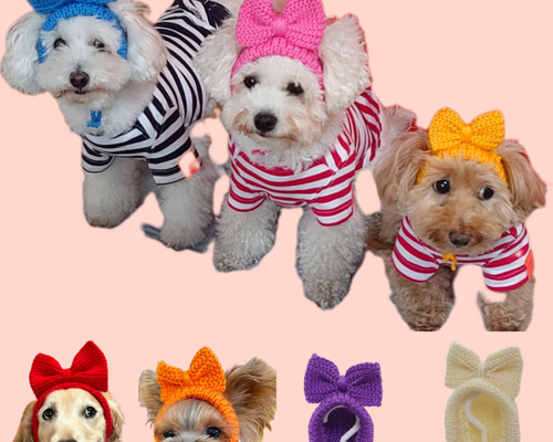 犬の帽子 リボンの耳出しニット帽 ペット服・アクセサリー Na