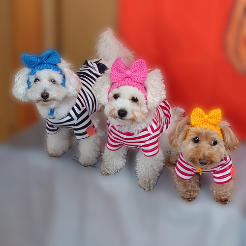 【Yy】犬の帽子　リボンの耳出しニット帽　ライトブルー 犬の帽子 リボンの耳出しニット帽 ペット服・アクセサリー Na☆Rura