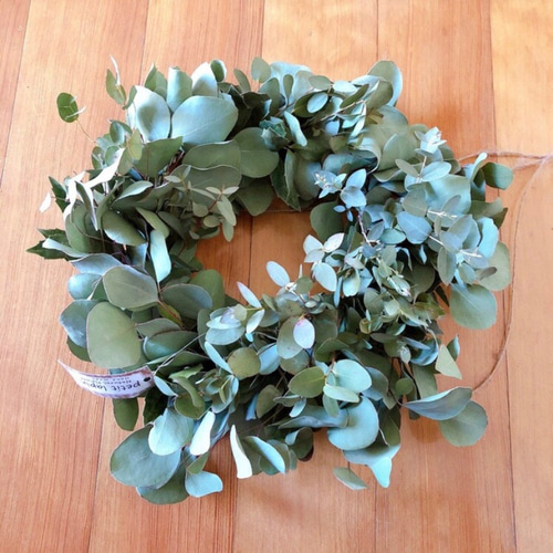 【専用】グリーンのフライングリース♡ a959cacd31caa0bf3683cda90a27b9