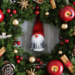 クリスマスリース（0823）～Joyeux Noël～　29cm 3枚目の画像