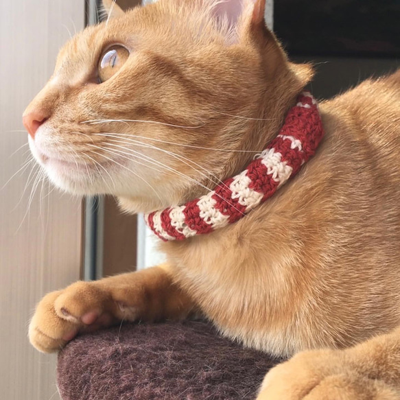 綿100% 金具なし 柔らか猫用首輪 - シニア・子猫に優しい調節可能デザイン ピンク×グレー 5枚目の画像