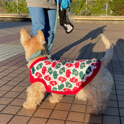 ハンドメイド犬服　タンクトップ　手袋柄　オーダー受付頁　前見頃、リブニットの色を選べます。年中着られるクリスマスカラー 15枚目の画像