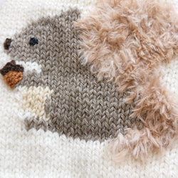 胴回り34〜36センチ りすちゃんセーター  手編み 犬服 3枚目の画像