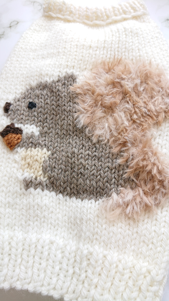 胴回り34〜36センチ りすちゃんセーター  手編み 犬服 3枚目の画像