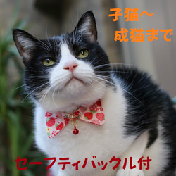 【 猫雑貨 招福 】猫 首輪 付襟 エリ セーフティバックル付 イチゴ いちご柄 サイズ調整可能 1枚目の画像
