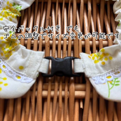 アーガイルチェック(パープル)わんちゃん猫ちゃん用首輪 猫ちゃんザビエル首輪 アーガイルチェッククリスマス リード・首輪