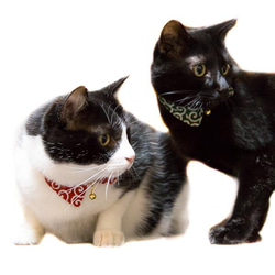 [貓雜貨 翔福] 附安全扣的貓項圈，尺寸可調節，數量有限 第12張的照片