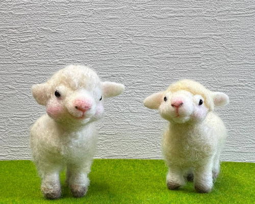 34d381f35f49131c0ef5522d33c67a