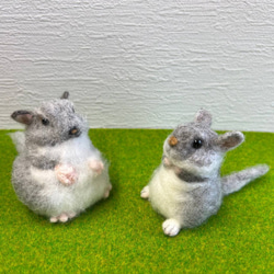 219bd05191dc44cc1b438b6114f455