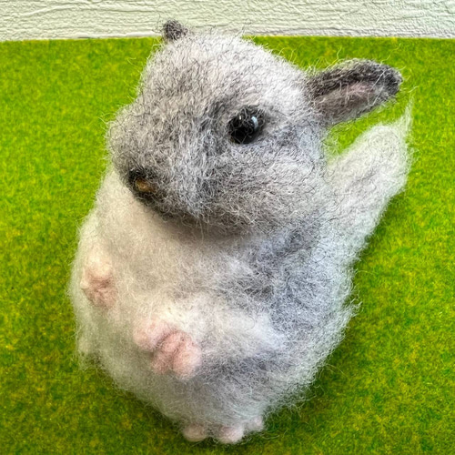 羊毛フェルト チンチラ①② 2種 羊毛フェルト toiro 通販 16778623