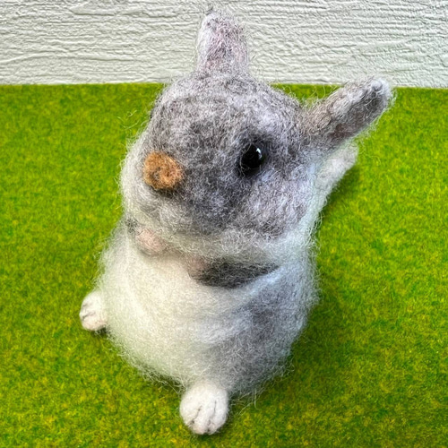 羊毛フェルト チンチラ①② 2種 羊毛フェルト toiro 通販 16778623