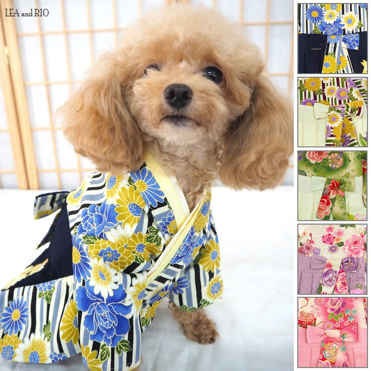 袴 和服 和装 和柄 イベント 記念日 卒業式 犬 猫 ペット P727 P728 P729 P730 P731