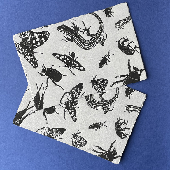 虫柄のポストカード【横書き・柄：カナヘビ】 ポストカード Danchido