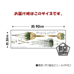 531 壁ステッカー ウォールステッカー ハンギング グリーン プランツ リーフ 吊り植物 多肉植物 アロエ サンスベリ 5枚目の画像