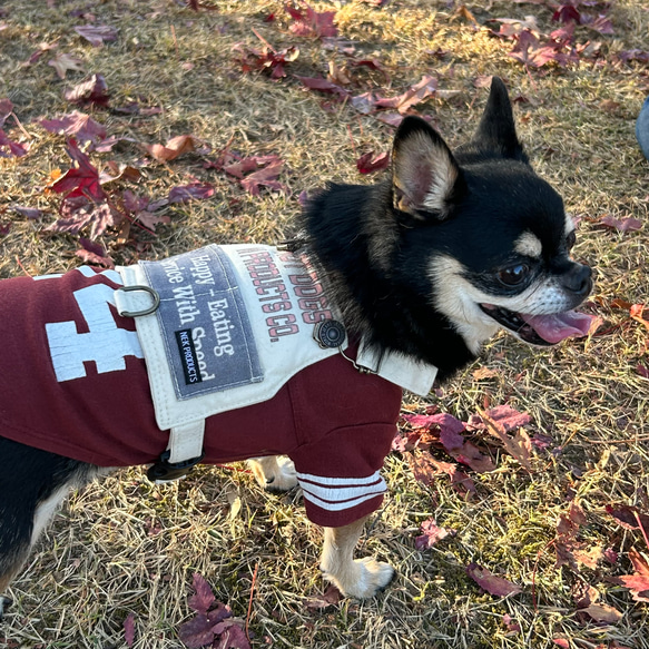 犬服　犬雑貨　エプロンハーネス 6枚目の画像