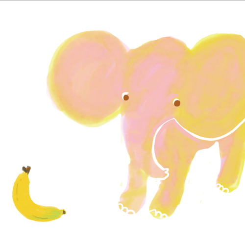 ぞうさん壁掛けカレンダー2025 A3サイズ カレンダー suzukiandco 通販