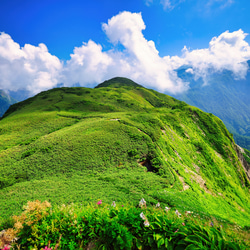 山岳風景写真 〜Trail of Venus〜 （雨飾山･北アルプス･夏山･登山／送料無料） 9枚目の画像