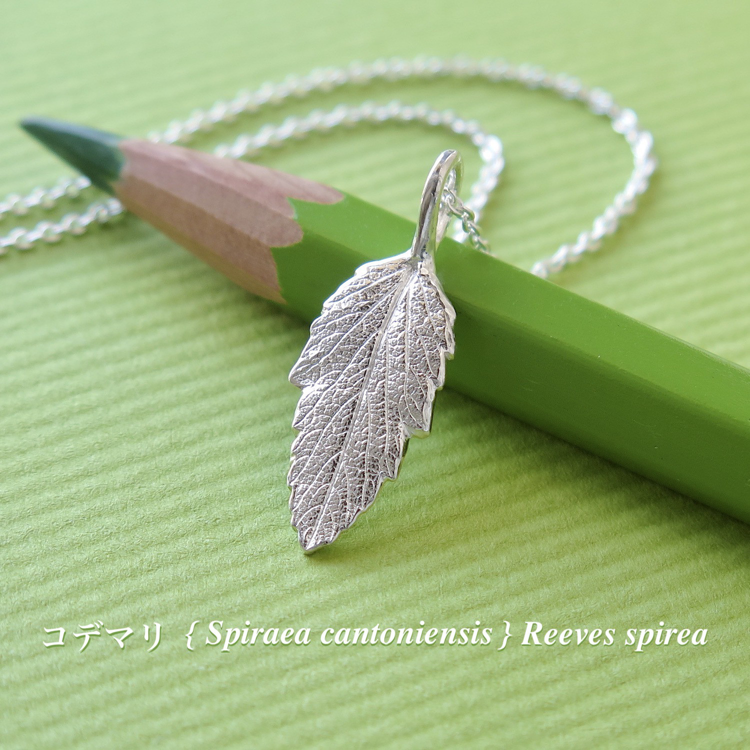 [999 Silver] コデマリのリーフペンダント, ネックレス, miniシルバーケアセット付, 1点物