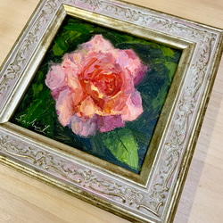 油彩画　Garden Rose 6枚目の画像