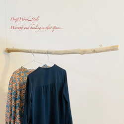 流木インテリア シンプルで真っすぐな大型流木のハンガーラック 北欧 衣装掛け ハンギング 吊り下げ ハンガーポール N9 5枚目の画像