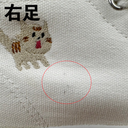 [特別商品] [免運費] 驚奇貓一點刺繡帆布中切運動鞋 &lt;白色&gt; S 碼 第7張的照片
