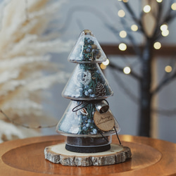 クリスマスツリーガラスボトル【グリーンS】 プリザーブドフラワー