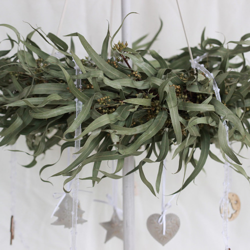 送料無料】1点もの＊ユーカリのフライングクリスマスリース＊ ドライ