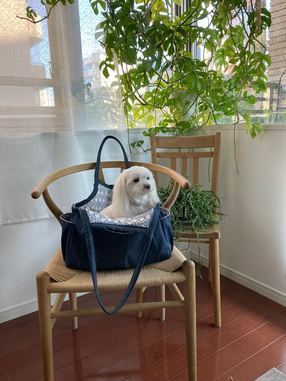 小型犬用キャリーバッグ(M・3〜4kg目安)  お散歩バッグ　飛び出し防止リード、メッシュネット巾着付き 1枚目の画像