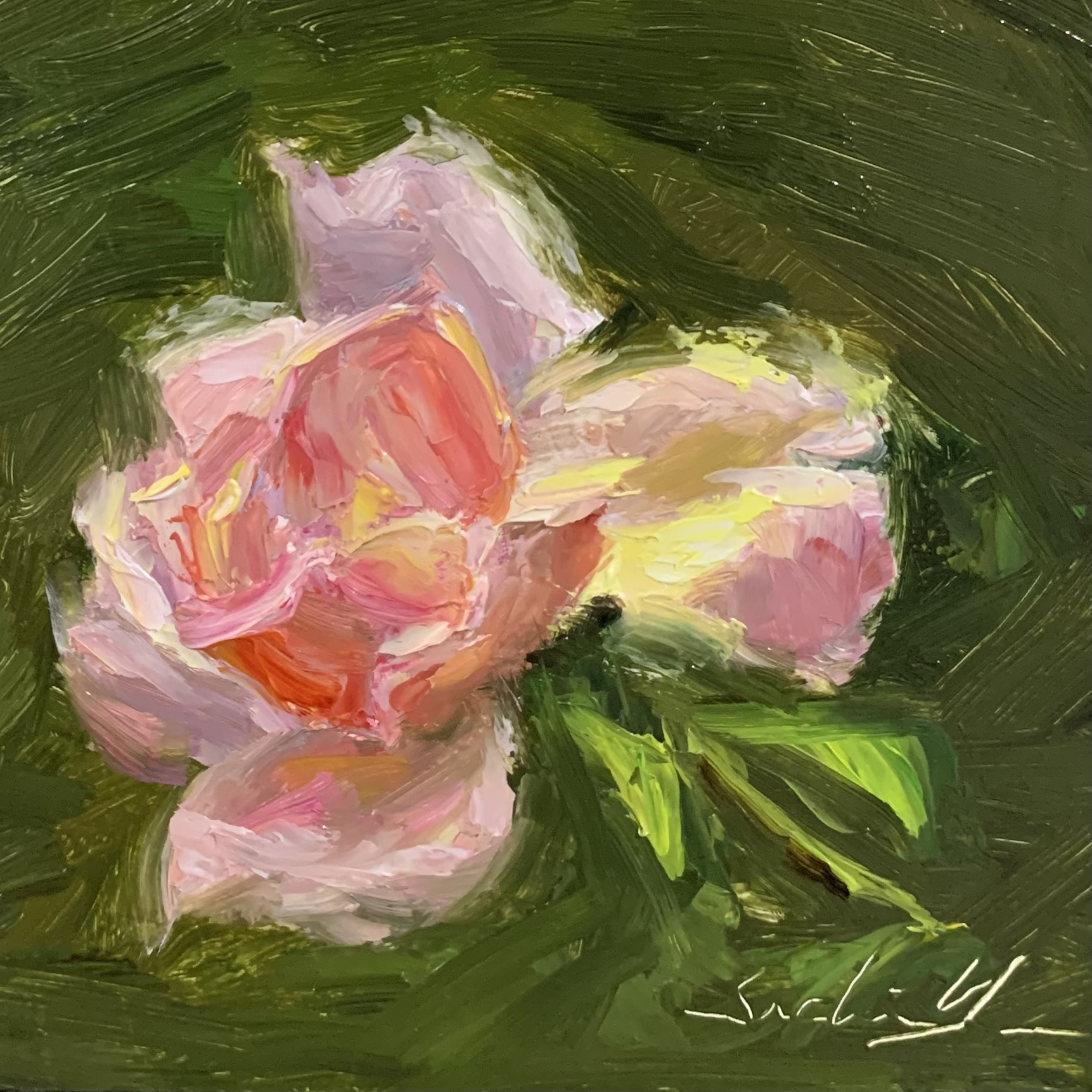 油彩画　Pink Rose