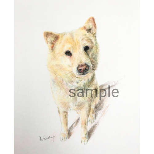 あなたの大切なペット描きます【B5】ペット似顔絵 色鉛筆画 絵画
