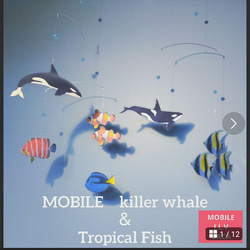 シャチ & 熱帯魚 モビール 魚 幸運  水槽 2枚目の画像