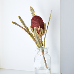 咲き続けるバンクシア(ボルドー)のマジカルウォーター　　癒しのフラワーインテリア 3枚目の画像