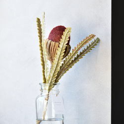 咲き続けるバンクシア(ボルドー)のマジカルウォーター　　癒しのフラワーインテリア 5枚目の画像