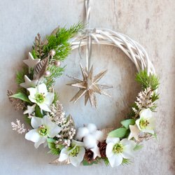【クリスマスリース】クリスマスローズの聖なる夜の1番星リース 1枚目の画像