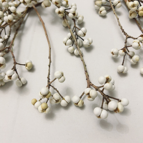 ナンキンハゼ 3〜6粒30本セット ドライフラワー Satsuki 通販 16782346